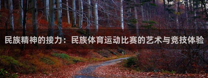 意昂5Kgame体育2官网入口：民族精神的接力：民族体育运动比赛的艺术与竞技体验