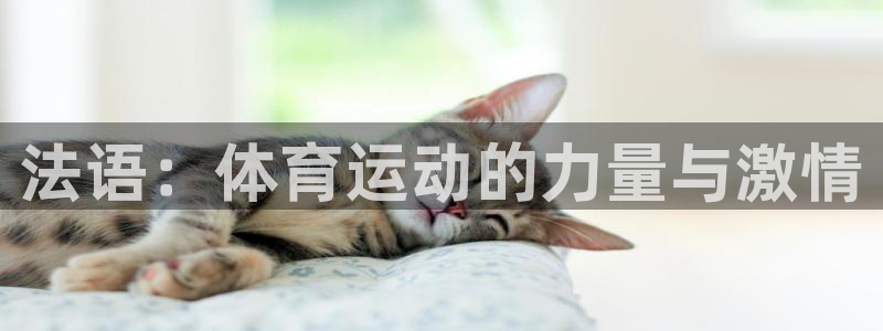 意昂5Kgamevk：法语：体育运动的力量与激情