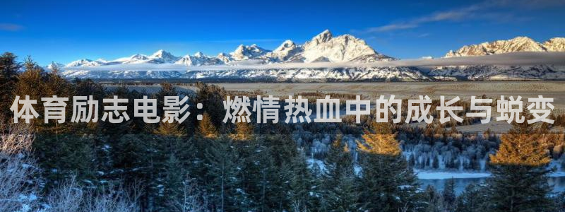 意昂5Kgame4平台注册：体育励志电影：燃情热血中的成长与蜕变
