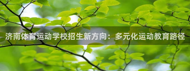 意昂5Kgame2登录地址：济南体育运动学校招生新方向：多元化运动教育路径