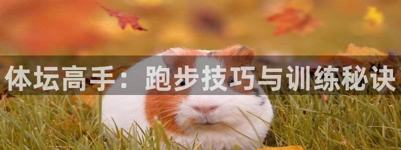 意昂5Kgame体育注册代理：体坛高手：跑步技巧与训练秘诀