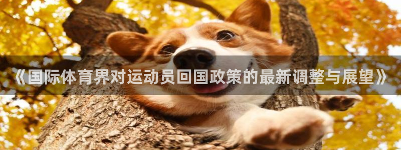 上海意昂5Kgame汽车电子有限公司：《国际体育界对运动员回国政策的最新调整与展望》