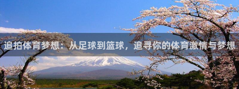 德国意昂5Kgame集团：追拍体育梦想：从足球到篮球，追寻你的体育激情与梦想