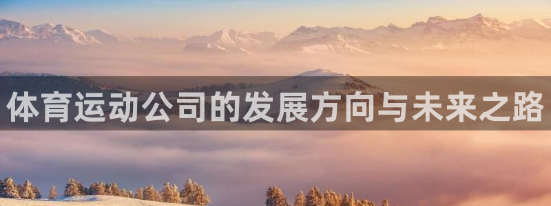 意昂5Kgame平台注册：体育运动公司的发展方向与未来之路
