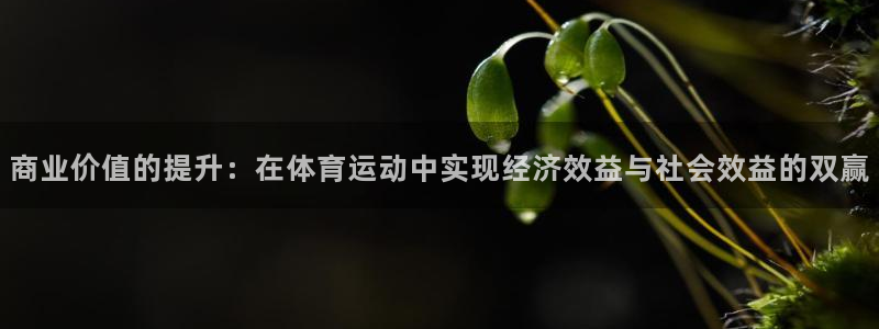 意昂5Kgame体育3在线注册：商业价值的提升：在体育运动中实现经济效益与社会效益的双赢