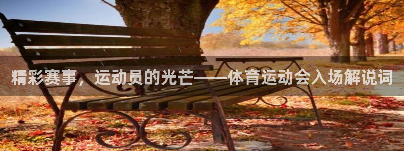 意昂5Kgamevk：精彩赛事，运动员的光芒——体育运动会入场解说词