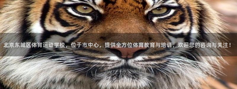 意昂5Kgame3注册：北京东城区体育运动学校，位于市中心，提供全方位体育教育与培训，欢迎您的咨询与关注！