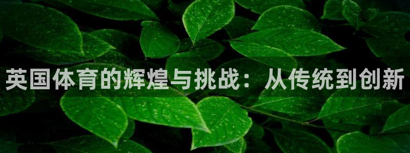 意昂5Kgame体育官网入口登录：英国体育的辉煌与挑战：从传统到创新