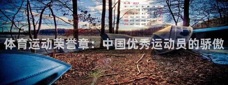 意昂5Kgame体育3在线注册：体育运动荣誉章：中国优秀运动员的骄傲