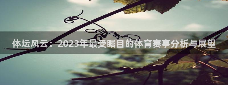意昂5Kgame体育凯捷平台代理：体坛风云：2023年最受瞩目的体育赛事分析与展望