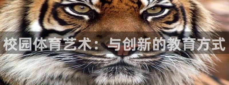 意昂5Kgame4代理：校园体育艺术：与创新的教育方式