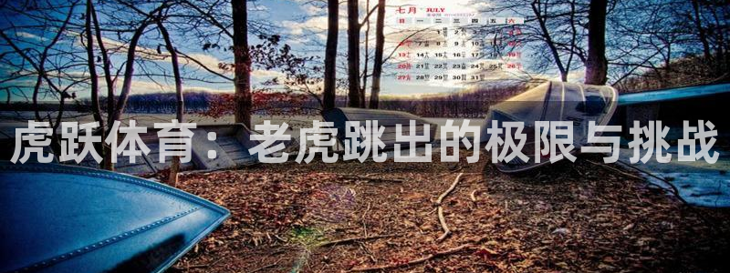 意昂5Kgame凯捷注册：虎跃体育：老虎跳出的极限与挑战