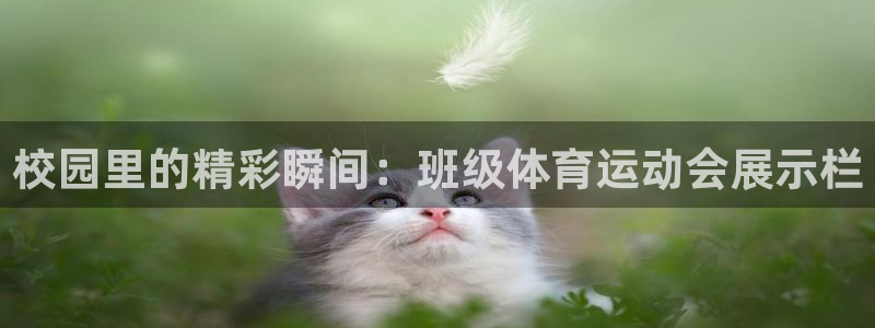 意昂5Kgame体育2：校园里的精彩瞬间：班级体育运动会展示栏
