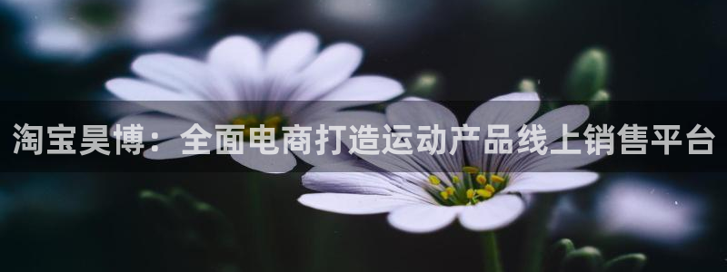 意昂5Kgame体育凯捷平台招商：淘宝昊博：全面电商打造运动产品线上销售平台