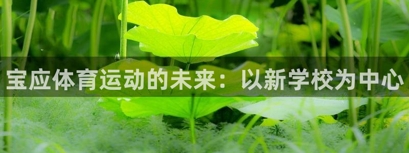 意昂5Kgame零能源集团：宝应体育运动的未来：以新学校为中心