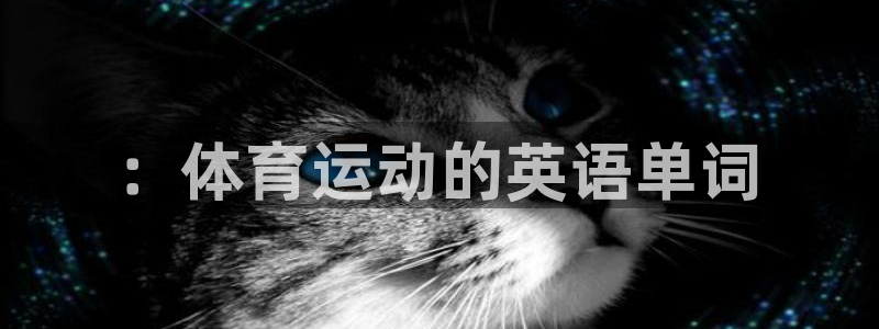 意昂5Kgame体育3在线注册：：体育运动的英语单词