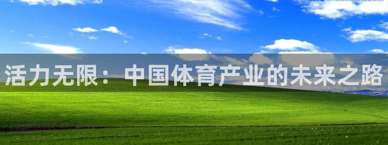 意昂5Kgame平台注册：活力无限：中国体育产业的未来之路